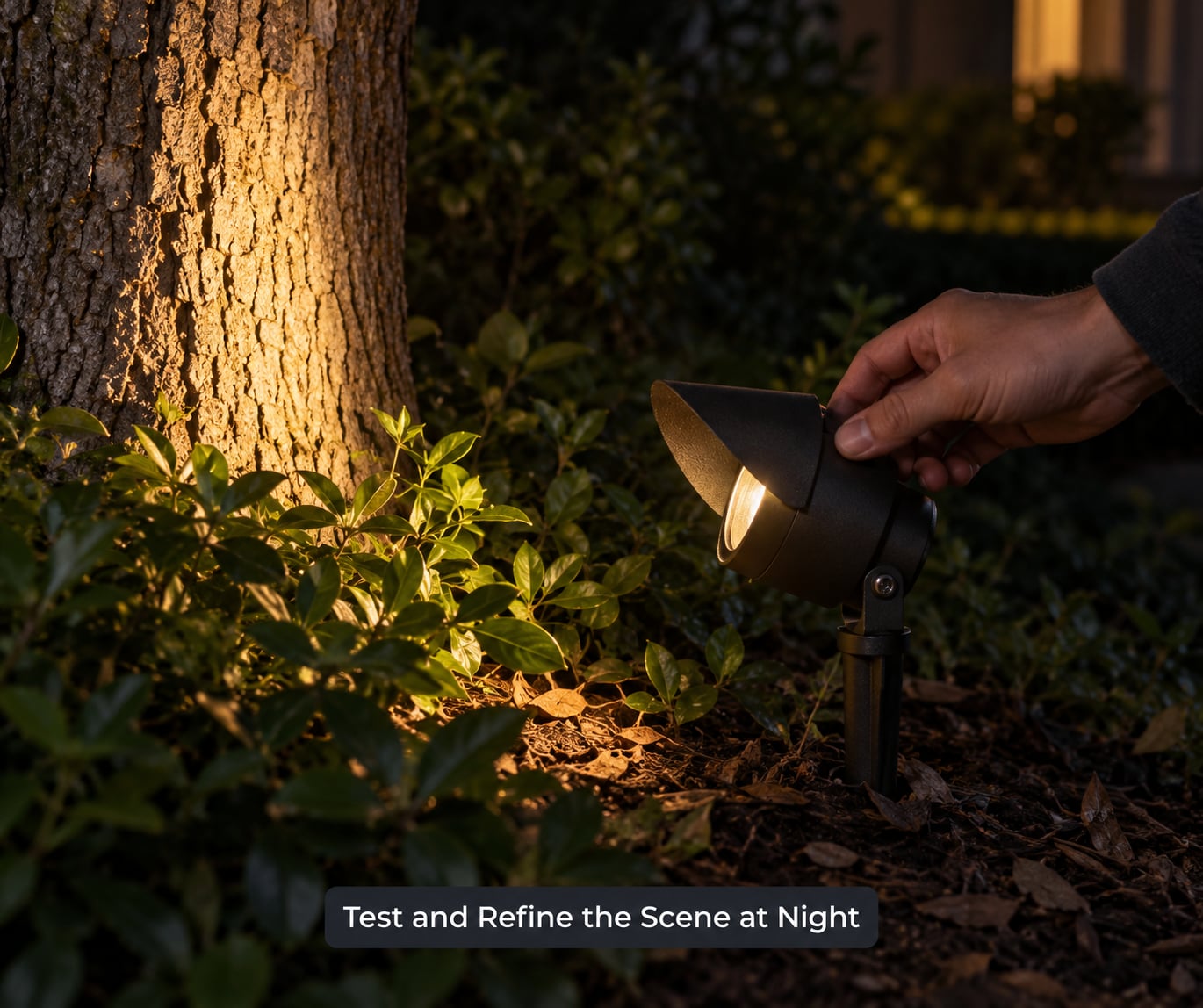 Test and Refine the Scene at Night